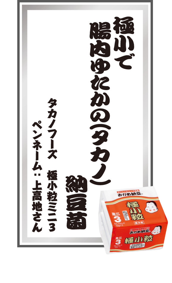 極小で腸内ゆたかの(タカノ)納豆菌 タカノフーズ 極小粒ミニ3 ペンネーム：上高地さん