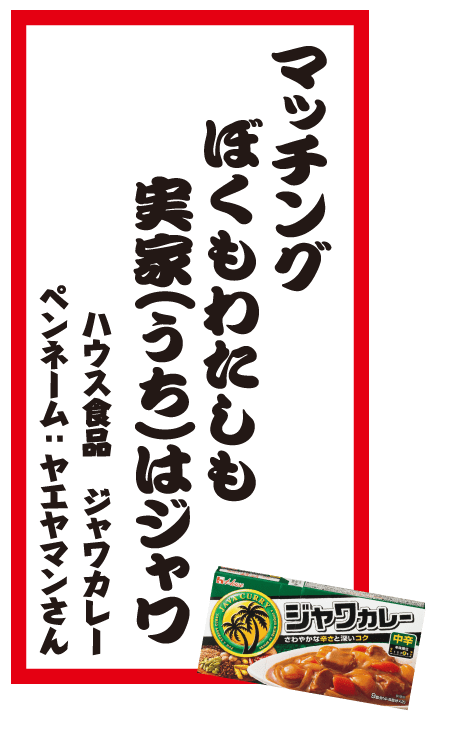マッチングぼくもわたしも実家(うち)はジャワ ハウス食品 ジャワカレー ペンネーム：ヤエヤマンさん