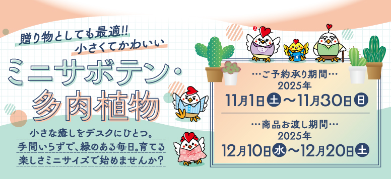 ネットde予約 ミニサボテン・多肉植物ご予約承り中